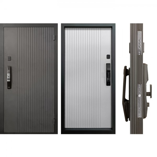 Металлическая дверь Промет Рона Смарт