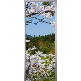 Imagination (Имэжинэйшн) Flowers (Цветы), прозрачное стекло