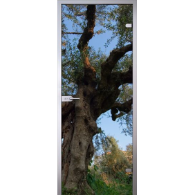 Imagination (Имэжинэйшн) Forest (Лес), прозрачное стекло