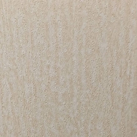 Абсолют Аугури бежевый