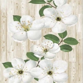 Европрофиль Яблони цвет 