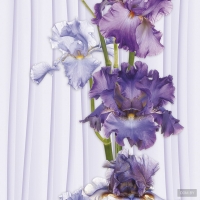 Европрофиль Ирис цвет