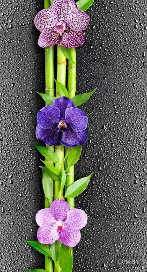 Панели ПВХ Ю-пласт Термоперенос Орхидея