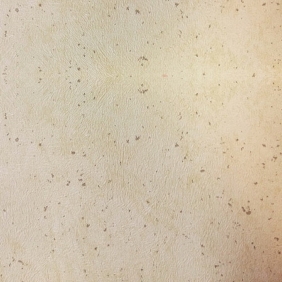 Мастер Декор Анталия фисташковая