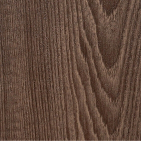 Век Сосна темная