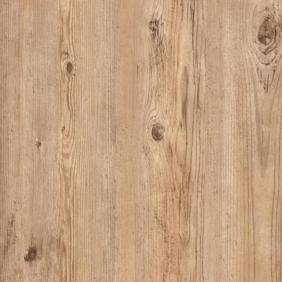 Век Сосна пинокио светлая