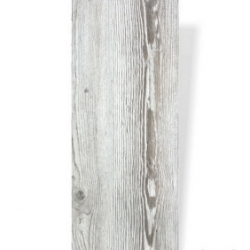 Век Сосна монблан