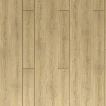 Eversense Classic Дуб Падуа Cерый EL2173