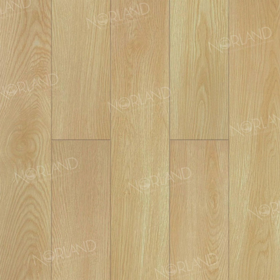 Ламинат Norland Elegant Дуб Тасмания LF301-04