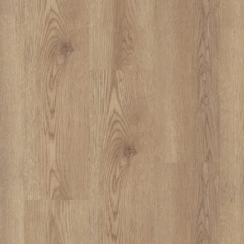 Bonkeel Discostar Arabesque