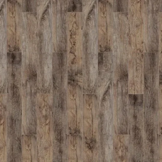 Timber Forester Дуб альгеро